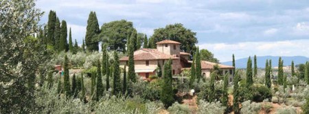 A beautiful Chianti farmhouse built over the centuries around a mediaeval tower.