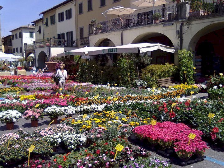 Greve in Chianti transformed for the annual Festa dei Fiori