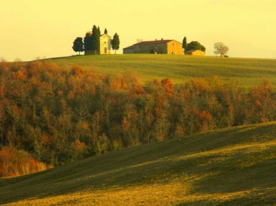 the Val d'Orcia, Tuscany, Italy