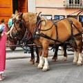 things to do with children in Tuscany