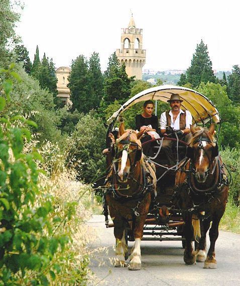 horse and wagon ride in Chianti